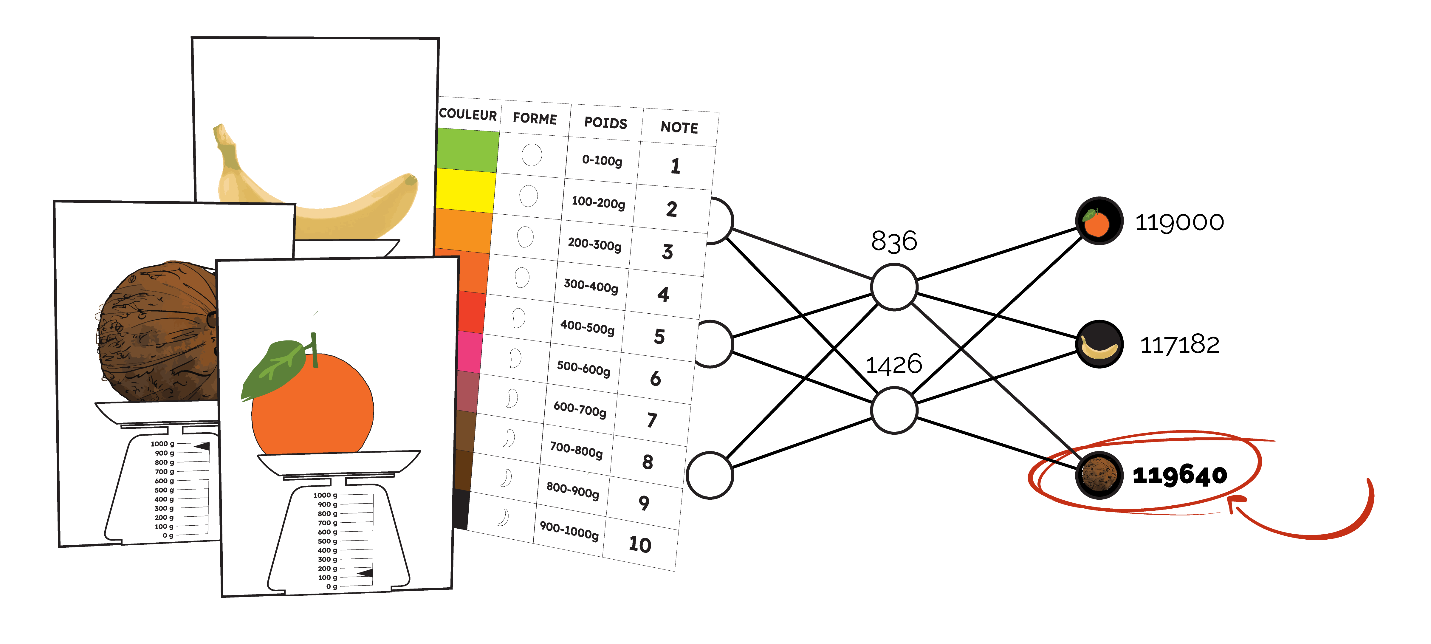 Le Jeu des 8 Neurones — Schéma du réseau de neurones analogique classifiant bananes, oranges et noix de coco